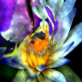 nicole-jarno - Digital paintings 2